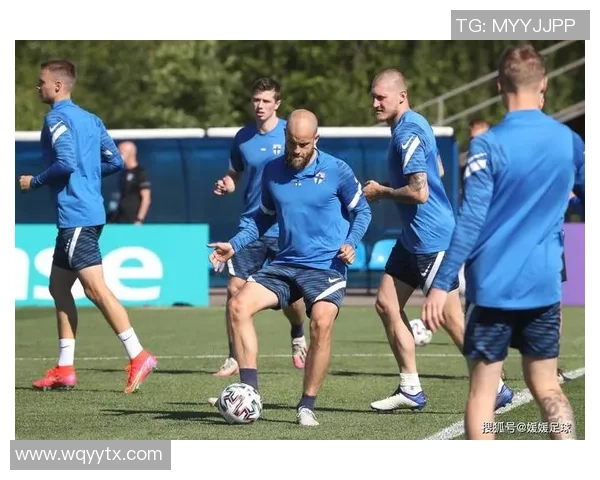 威尔士与芬兰精彩对决视频回顾及赛后分析