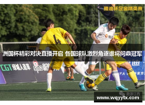 洲国杯精彩对决直播开启 各国球队激烈角逐谁将问鼎冠军