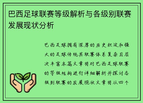巴西足球联赛等级解析与各级别联赛发展现状分析