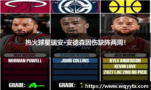 热火球星瑞安·安德森因伤缺阵两周！