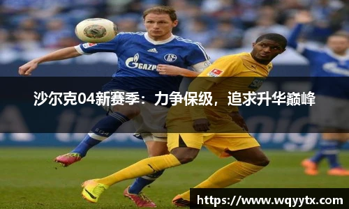 DB旗舰在线登录