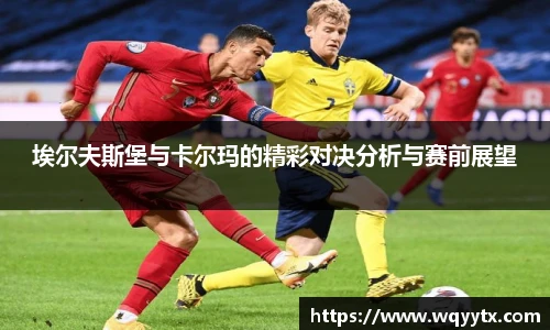 DB旗舰手机最新版本