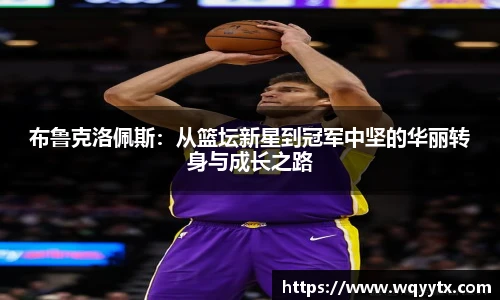 DB旗舰手机最新版本