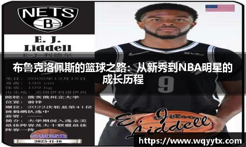 DB旗舰在线登录