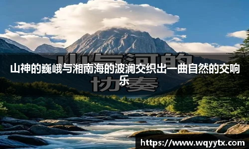 DB旗舰手机最新版本